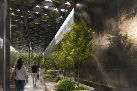 Planted approach along the mesh screen